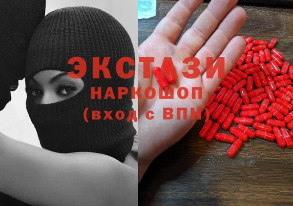 ECSTASY Богородицк