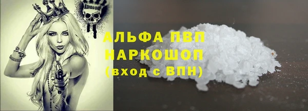 ECSTASY Богородицк