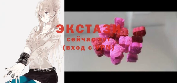 ECSTASY Богородицк