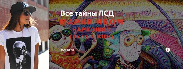 ECSTASY Богородицк