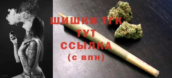 ECSTASY Богородицк