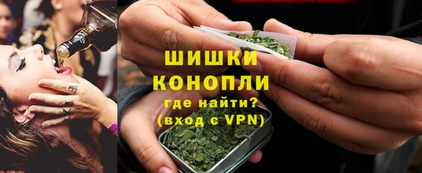 крисы Белокуриха